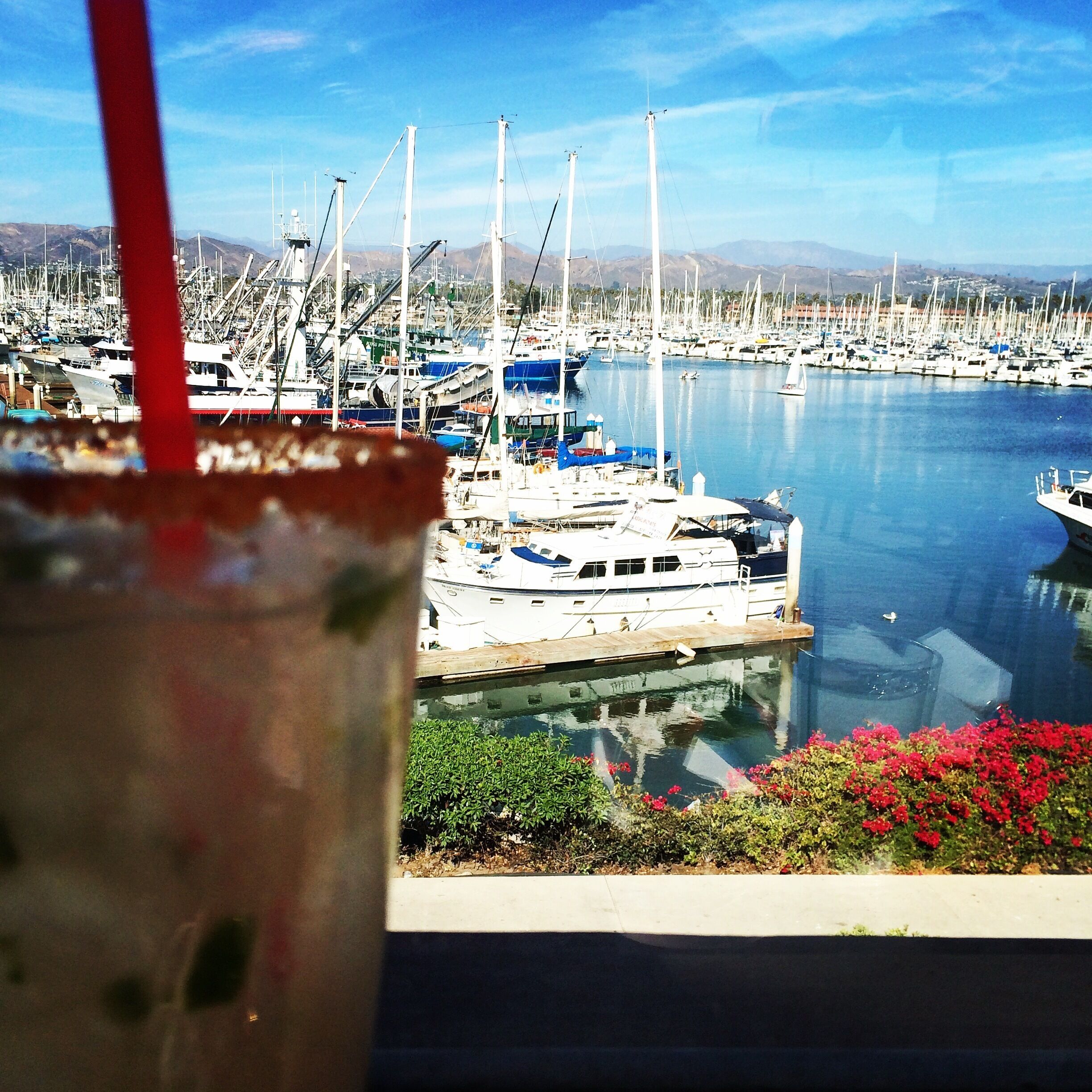 Margaritas at the harbor