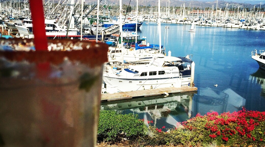 Margaritas at the harbor