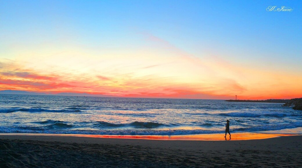 Imagen yourself walking on the beach with the #sunset lighting your walk.
#beach #summer #roadtrip #waterlust