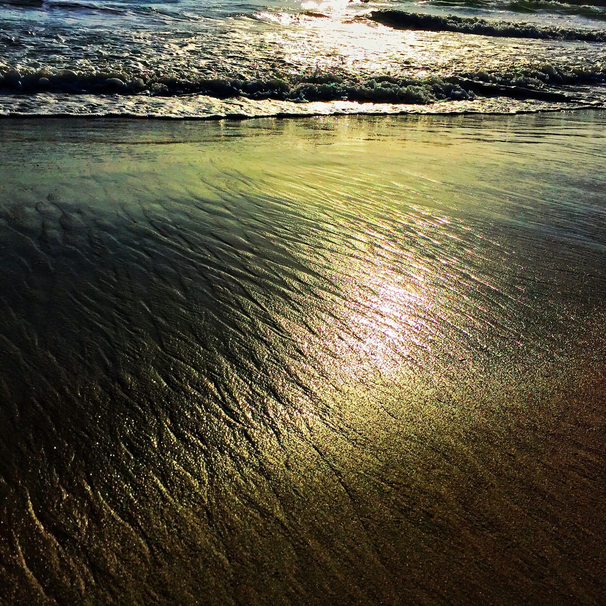 #goldenhour