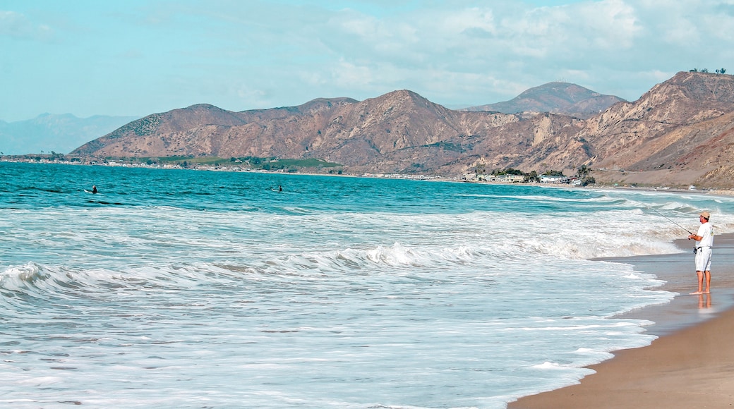 🇱🇷 Situated along California's scenic central coast, the City of Ventura was once referred to as the “land of endless summer". There are many uncrowded beaches to discover in this area.
•
🏊♀️ Like Emma Wood State Beach this area is popular for swimming, surfing, and fishing. It attracts a variety of wildlife on the beach and in the ocean! The beach also offers family camping or RV parking.