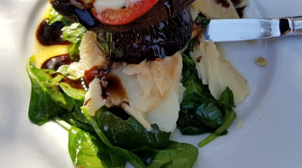 Amazing Napoleon! Basil pesto over smoked mozzarella over heirloom tomato over Portobello mushroom over potato au gratin over spinach! Love the dog friendly outdoor patio.