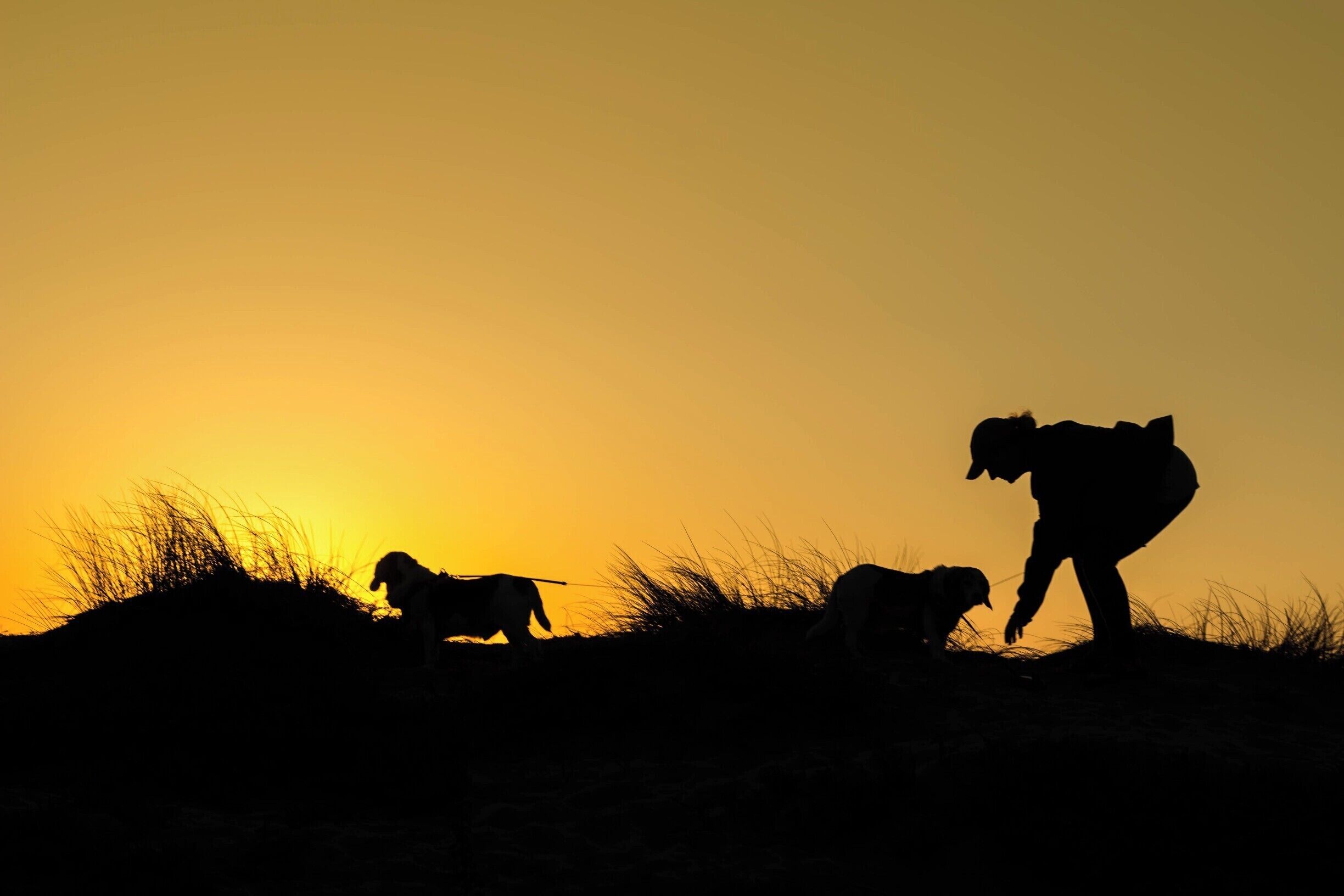 There's no better relaxation than playing with man's best friend along the beach.