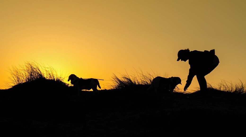 There's no better relaxation than playing with man's best friend along the beach.