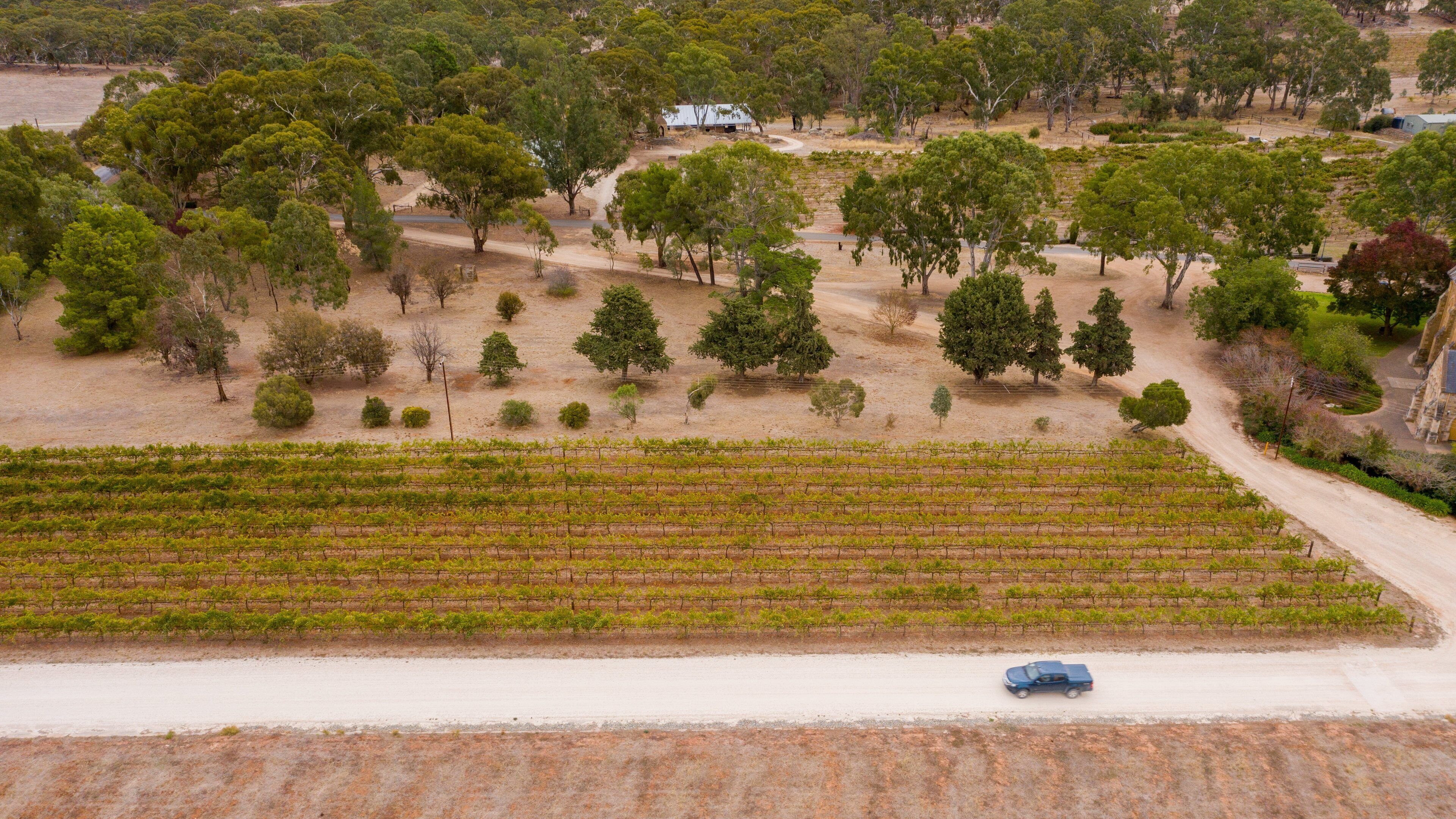 Sevenhill Cellars featuring tranquil scenes and farmland