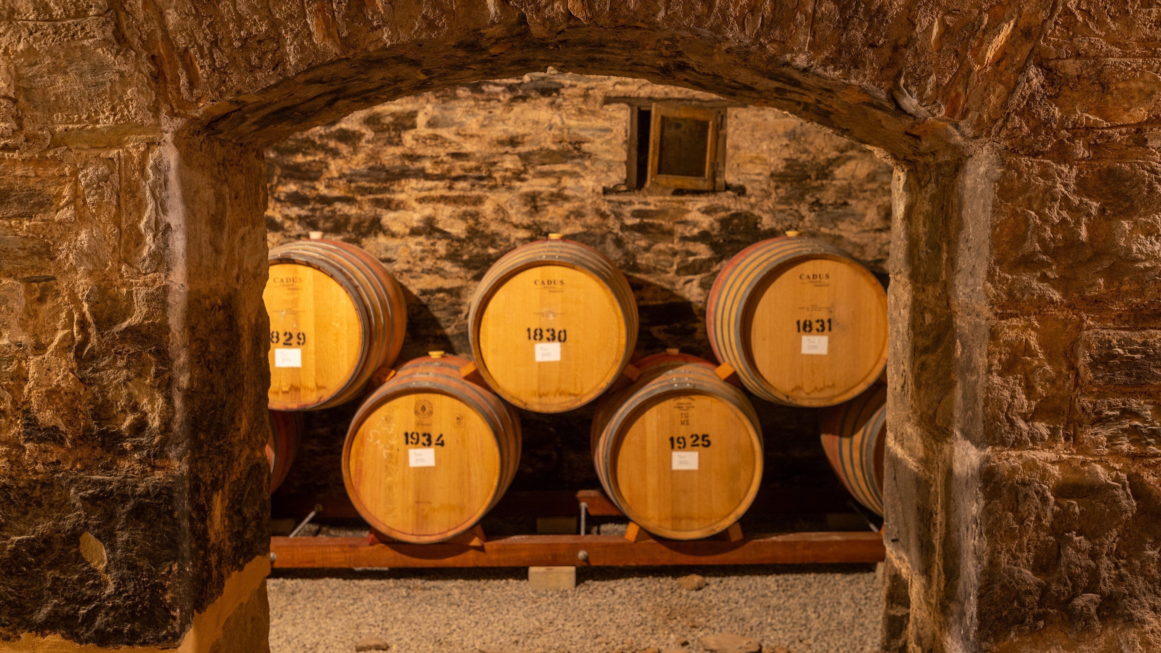 Sevenhill Cellars featuring interior views