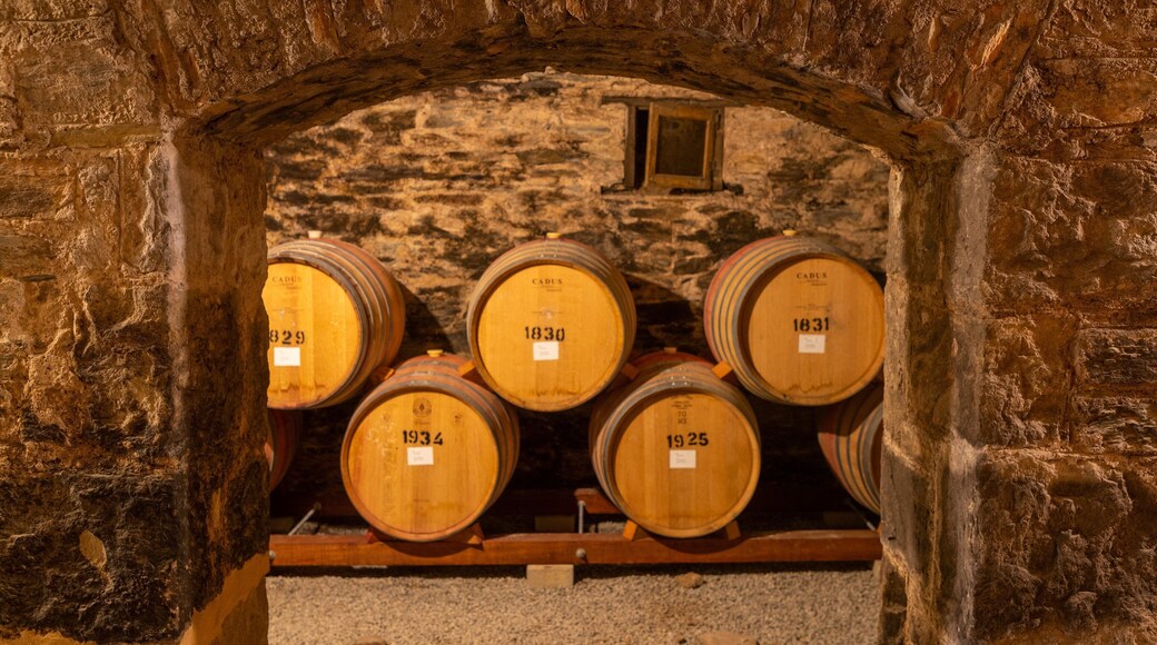 Sevenhill Cellars featuring interior views