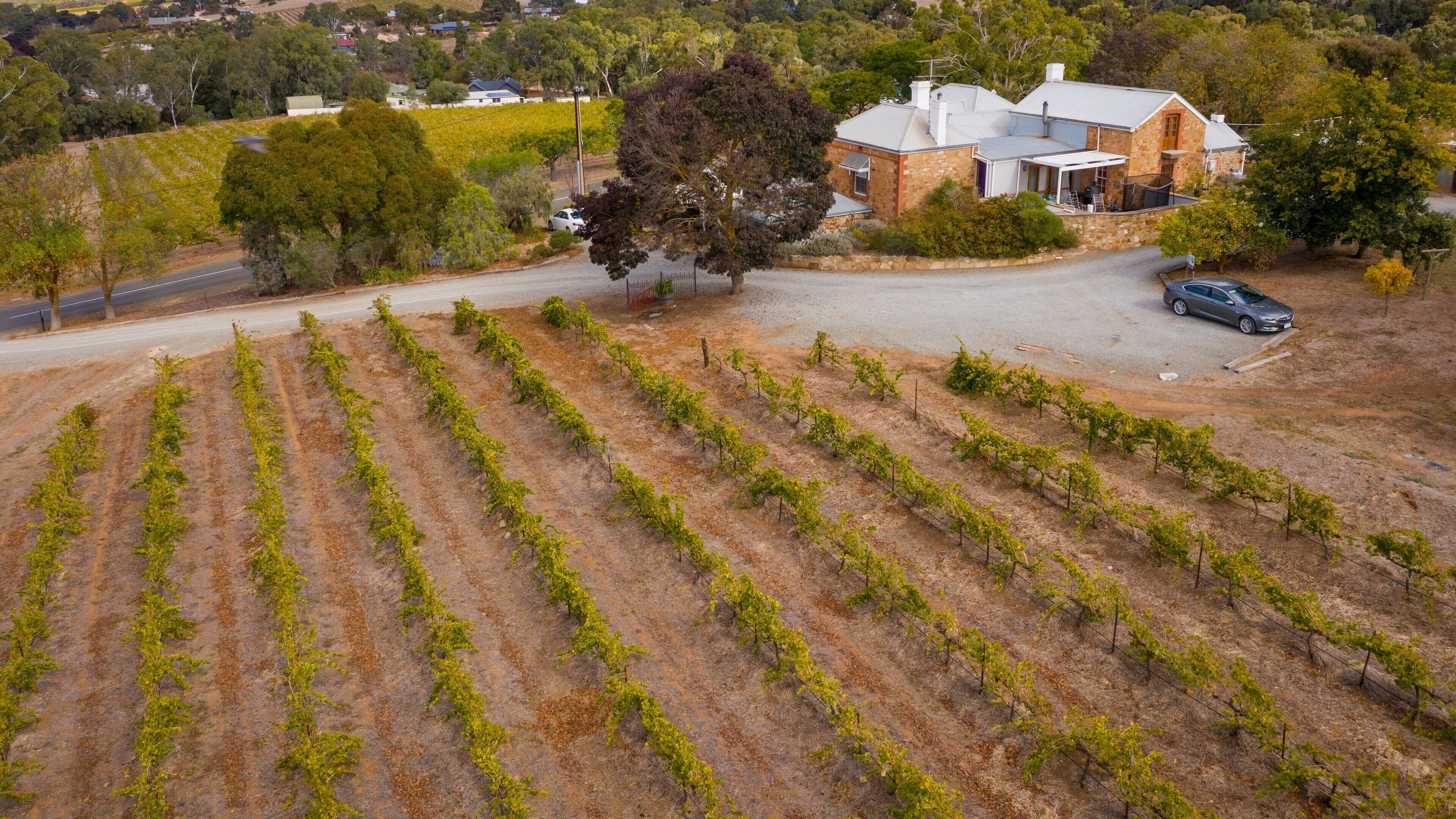 Crabtree Watervale Wines showing farmland
