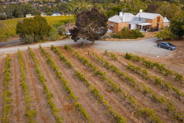 Crabtree Watervale Wines showing farmland