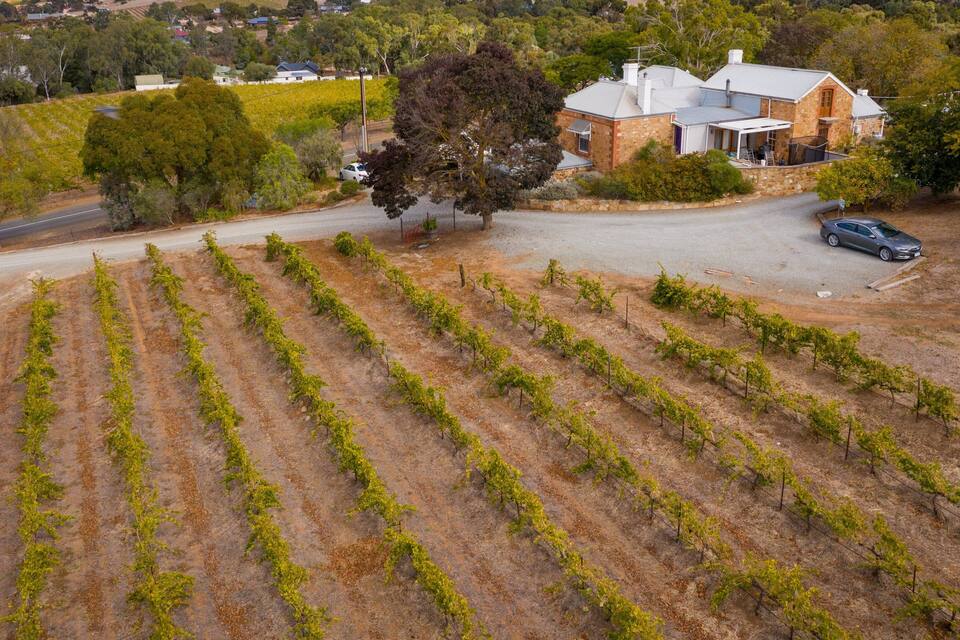 A vineyard with rows of grapevines, a stone house, and a car parked nearby.