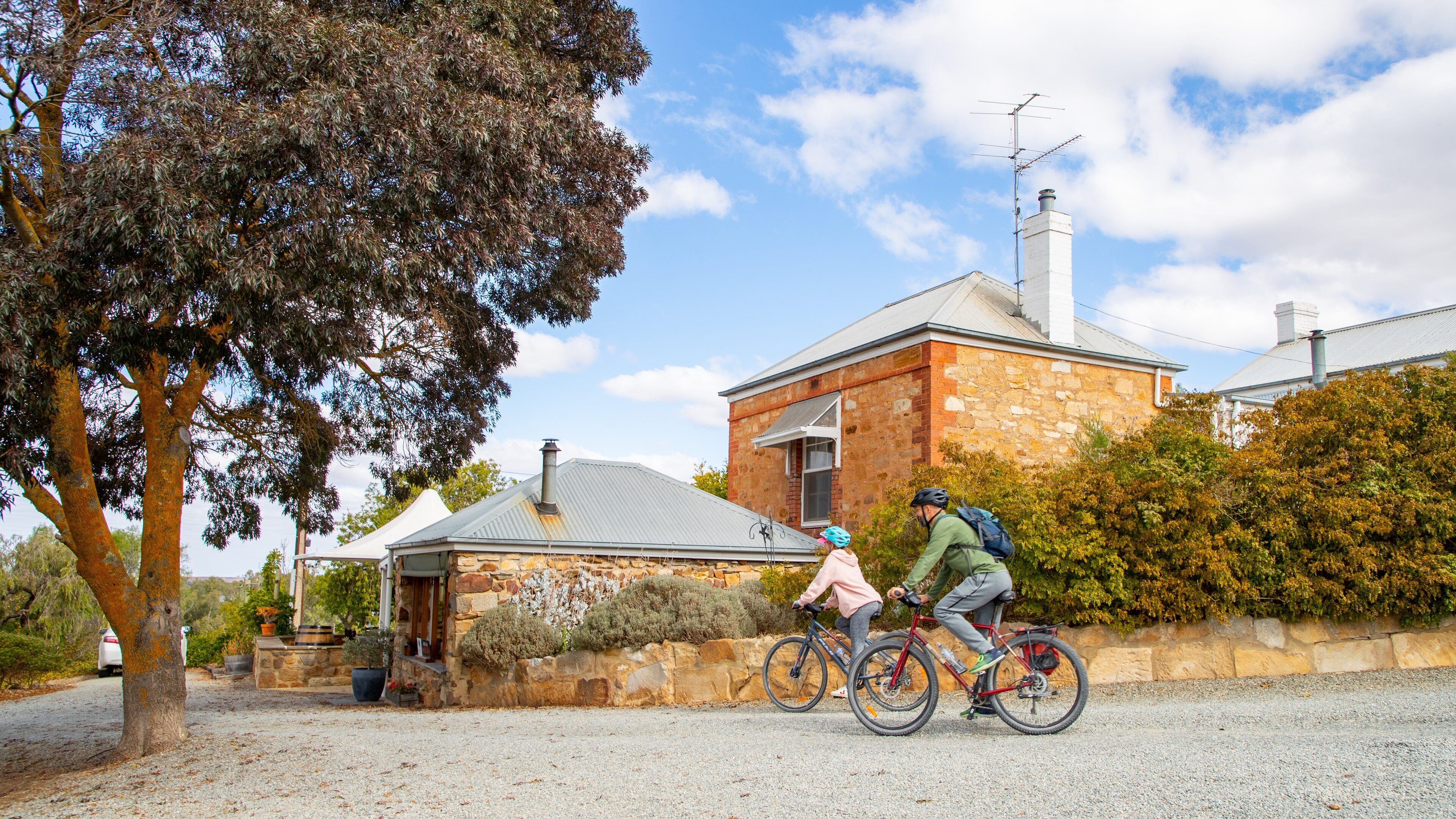 Crabtree Watervale Wines showing cycling as well as a couple