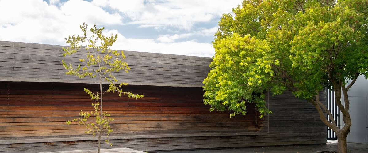 Primo Estate which includes a garden