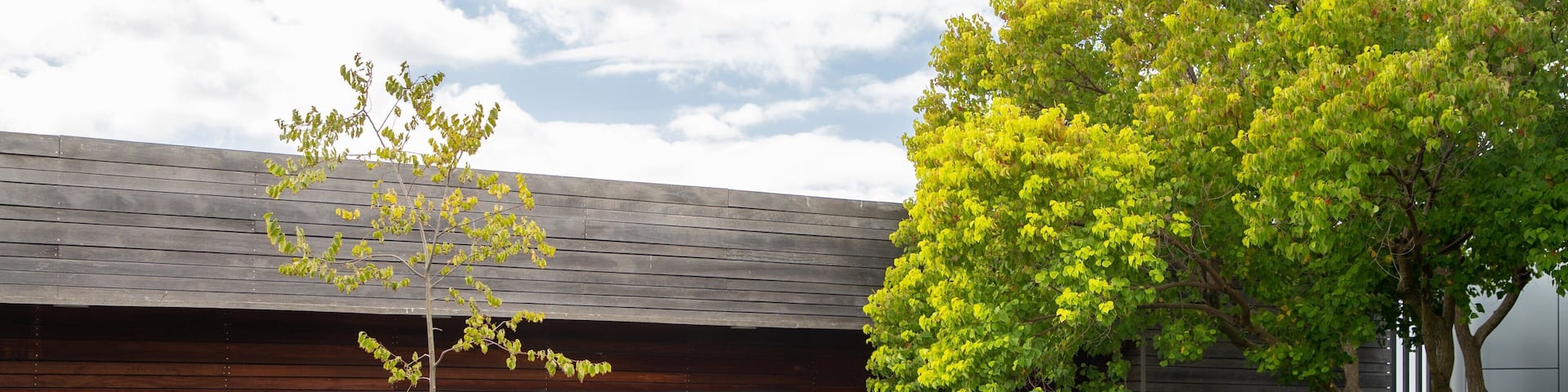 Primo Estate which includes a garden