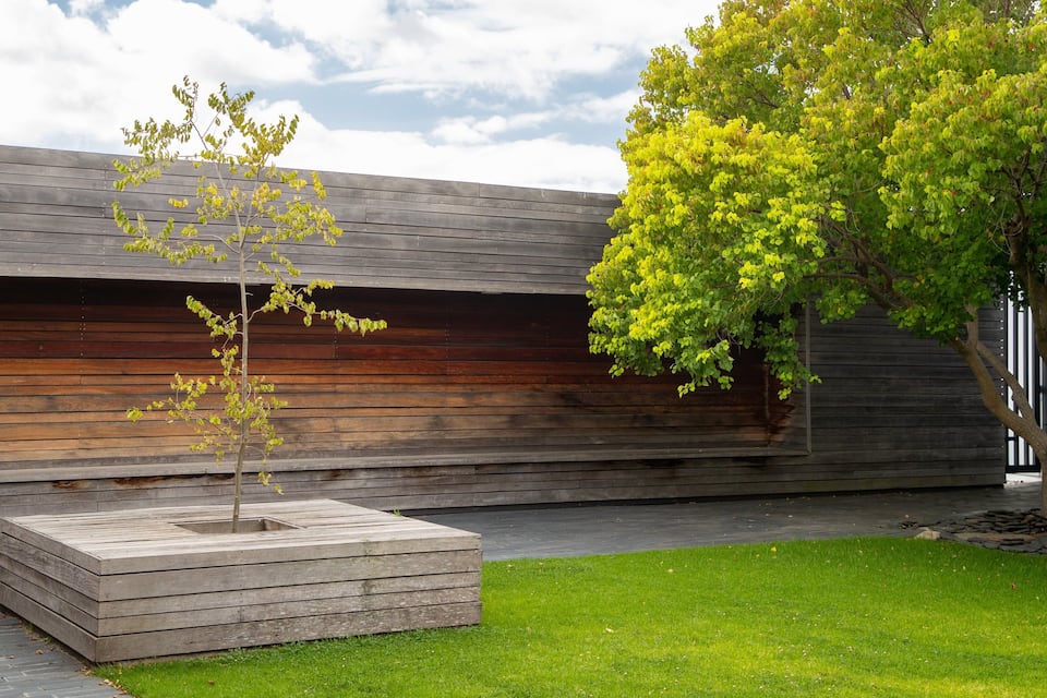 Un bâtiment moderne avec une façade en bois, un petit arbre planté dans un bac et une zone herbeuse.