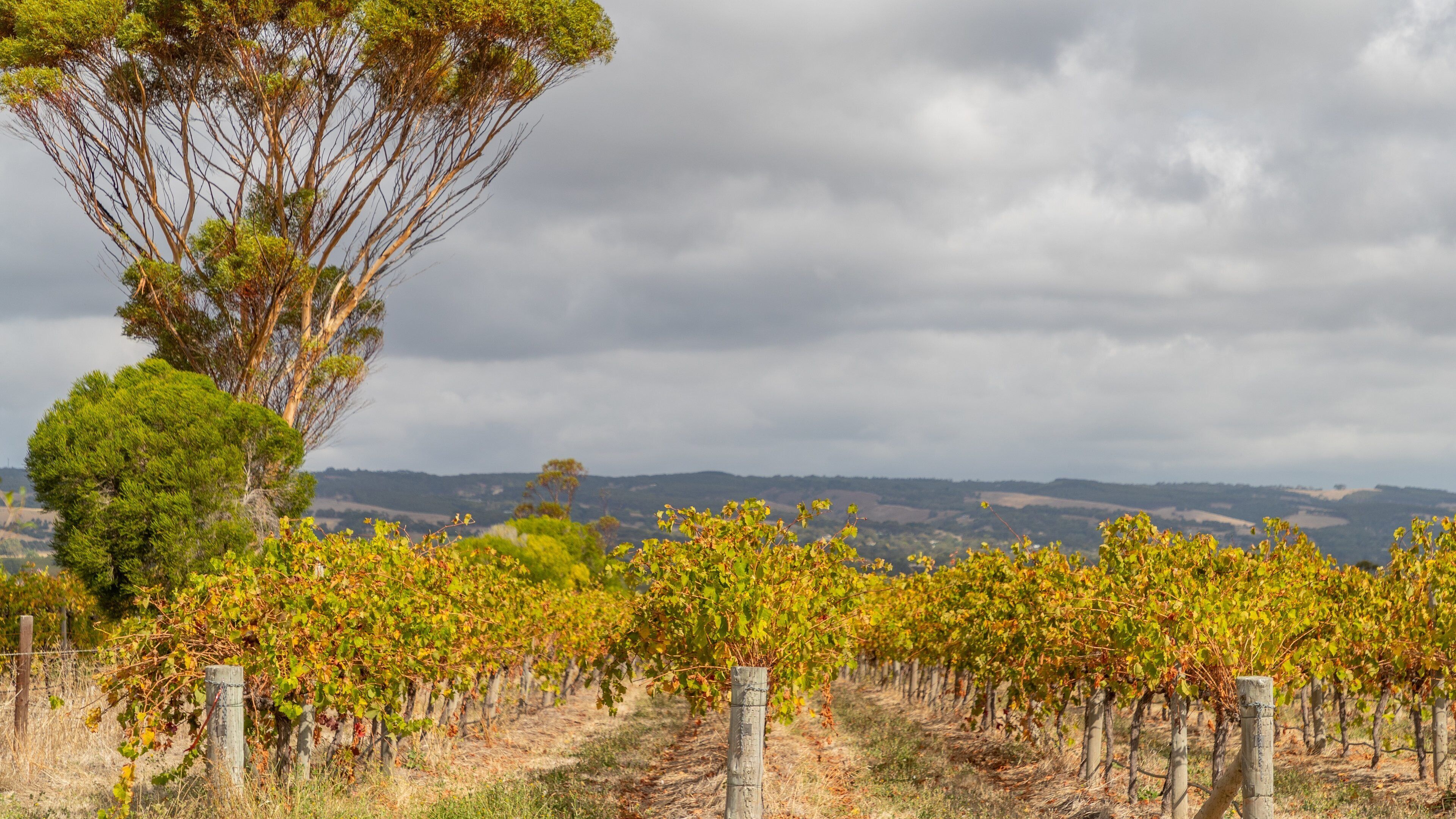 Primo Estate featuring farmland