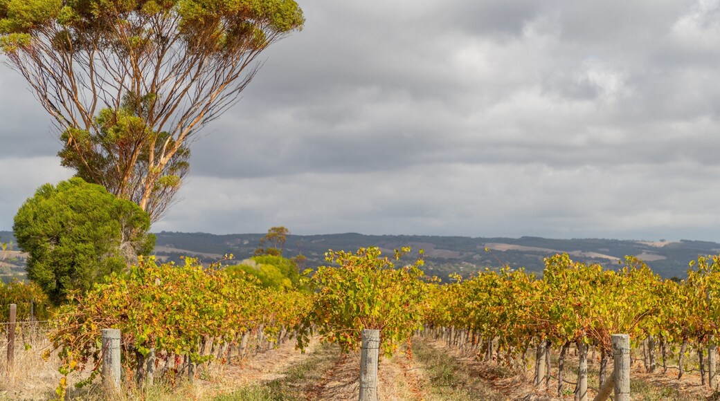 Primo Estate featuring farmland
