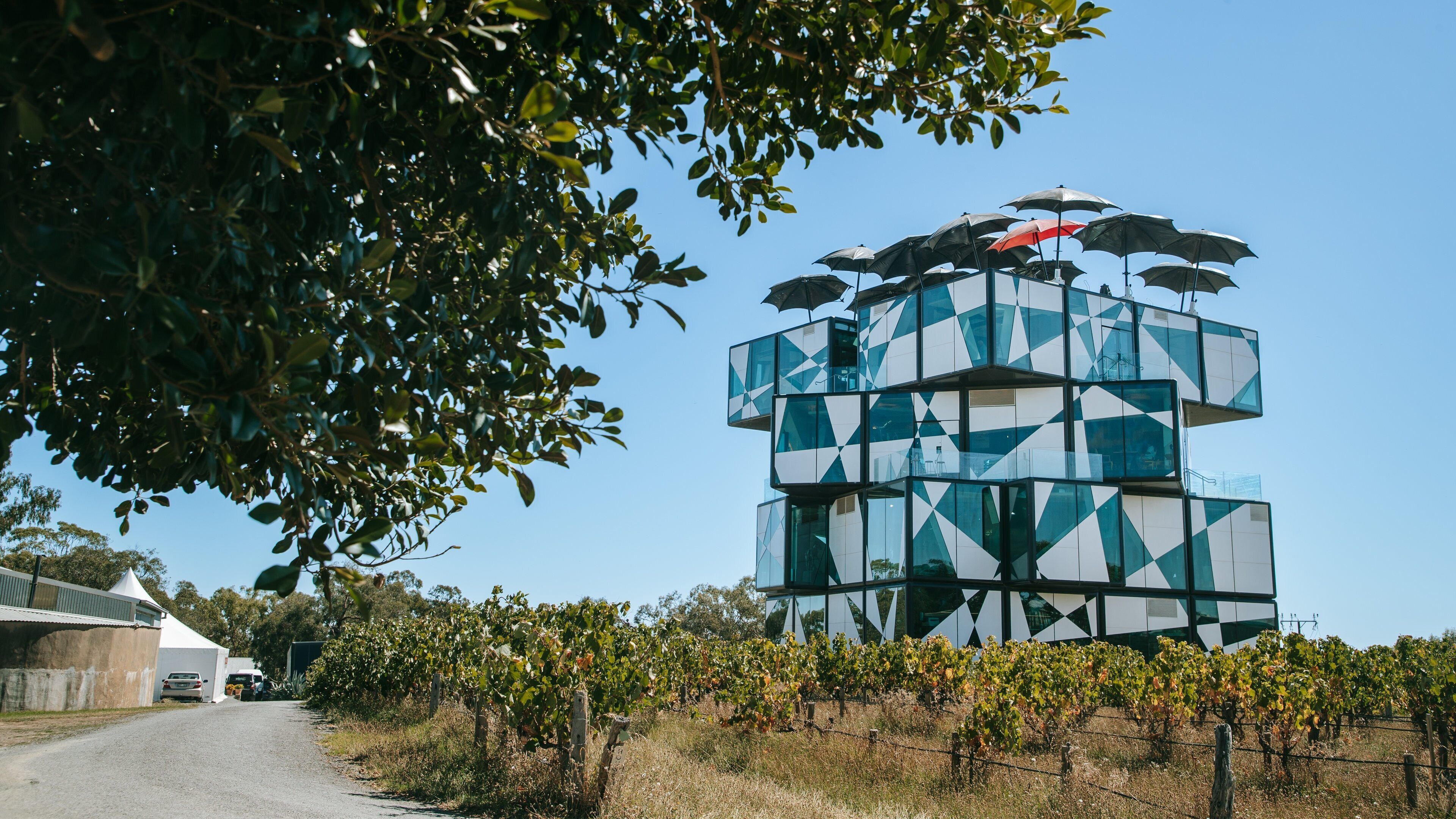 d\'Arenberg Wines which includes farmland and modern architecture