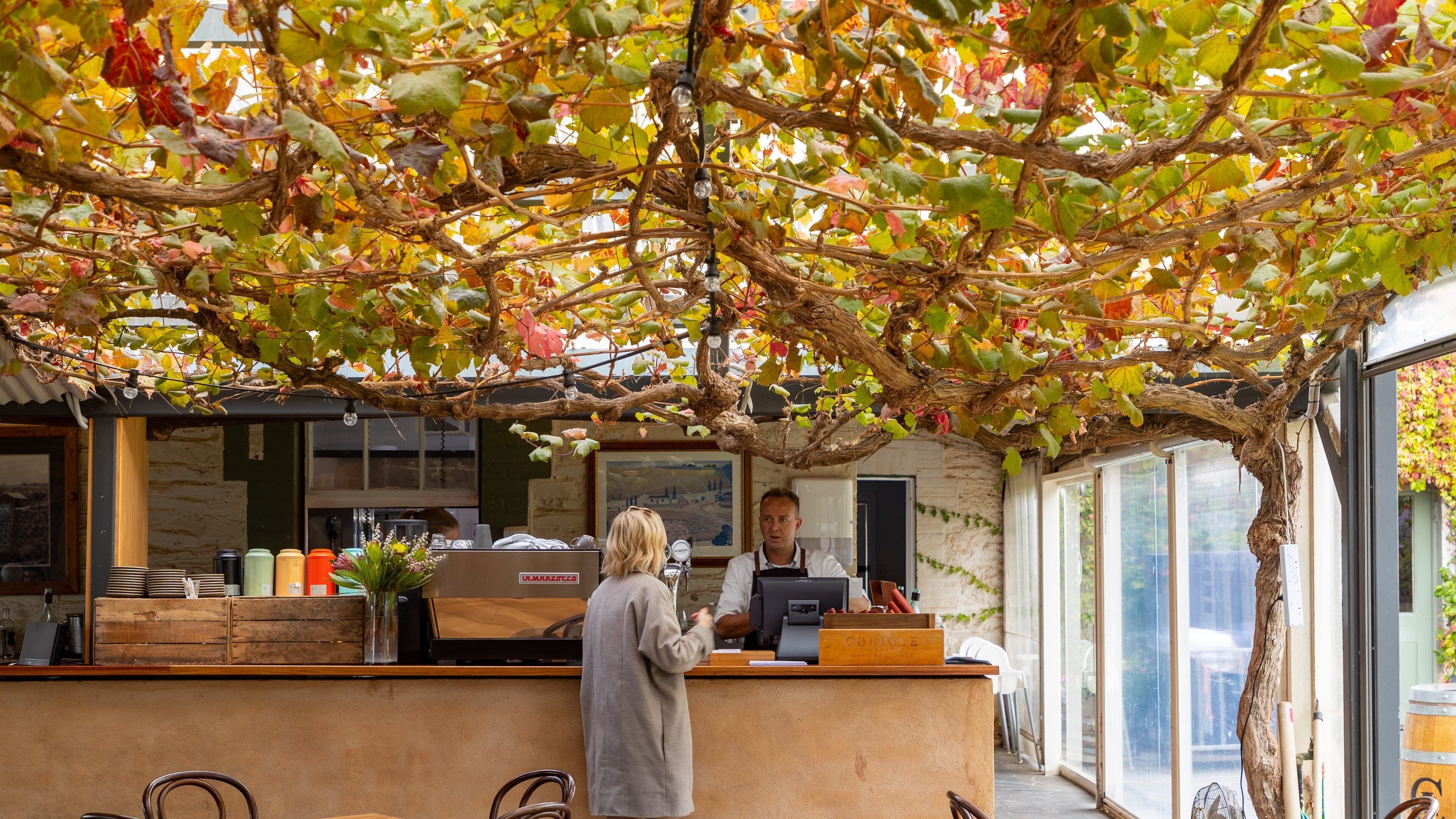 Coriole Vineyards featuring interior views as well as an individual femail
