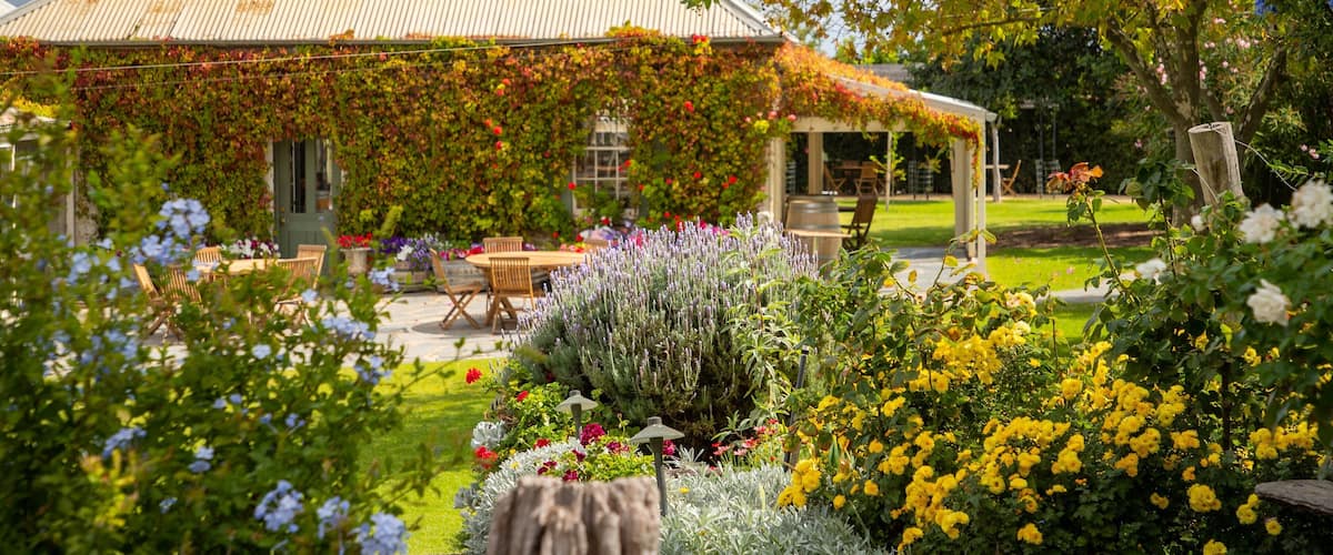 Coriole Vineyards which includes wildflowers, flowers and a garden