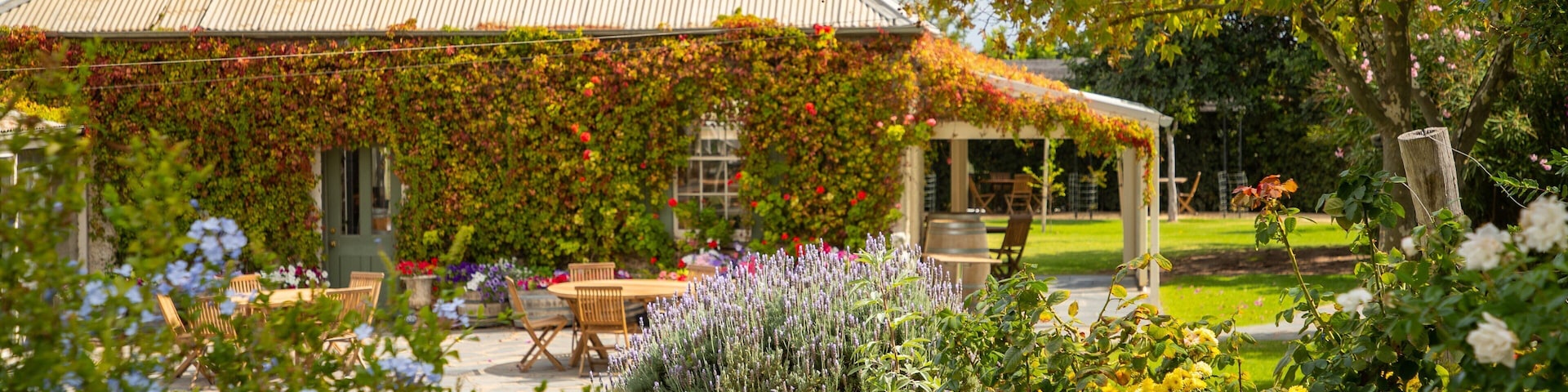Coriole Vineyards which includes wildflowers, flowers and a garden