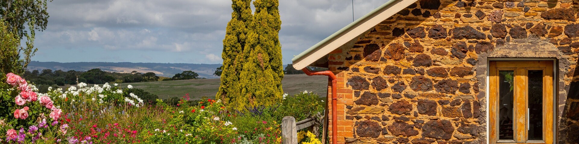 Coriole Vineyards showing wildflowers and heritage elements