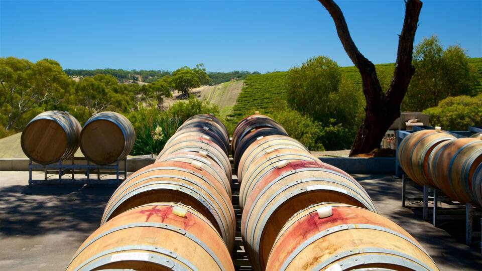 Rows of wooden wine barrels outdoors with a vineyard in the background.