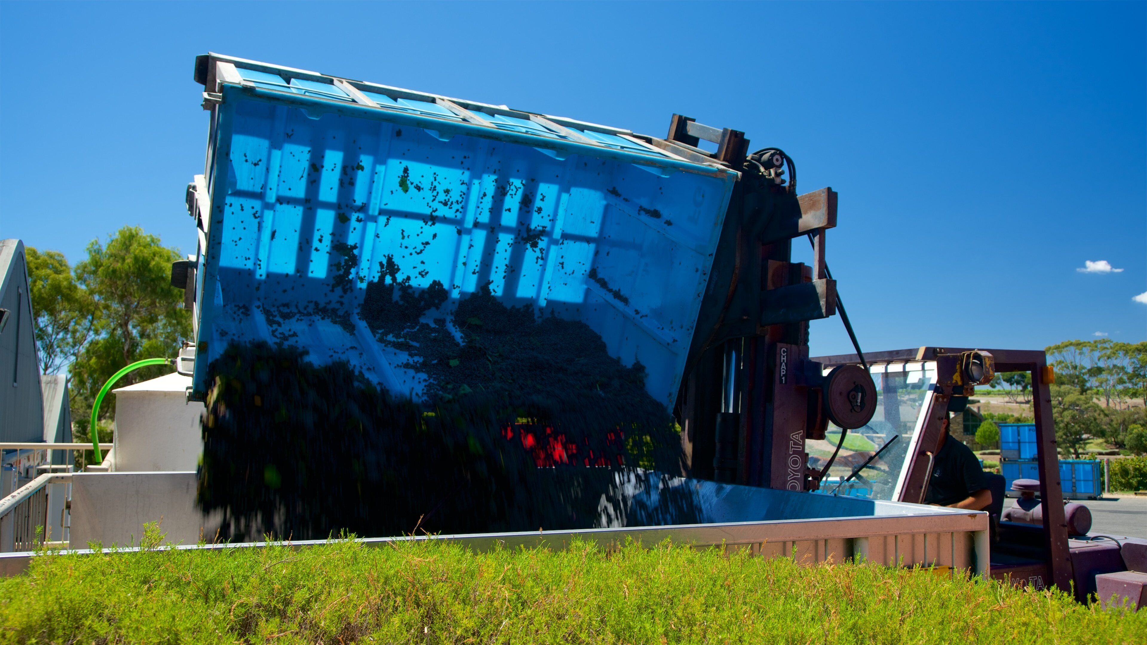 チャペル ヒル ワイナリー