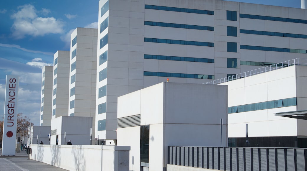Hospital la fe of valencia. general plan of the exterios of the entrance to a hospital in Europe