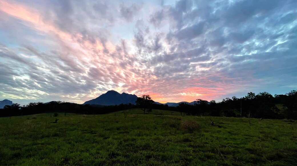 Beautiful cotton candy sky