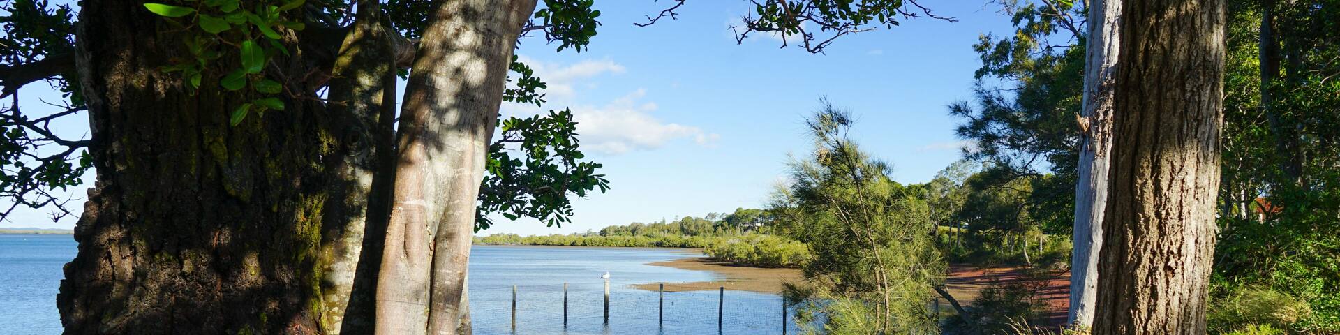 View between trees to swimming enclosure at low tide. Redland Bay, Queensland, Australia.