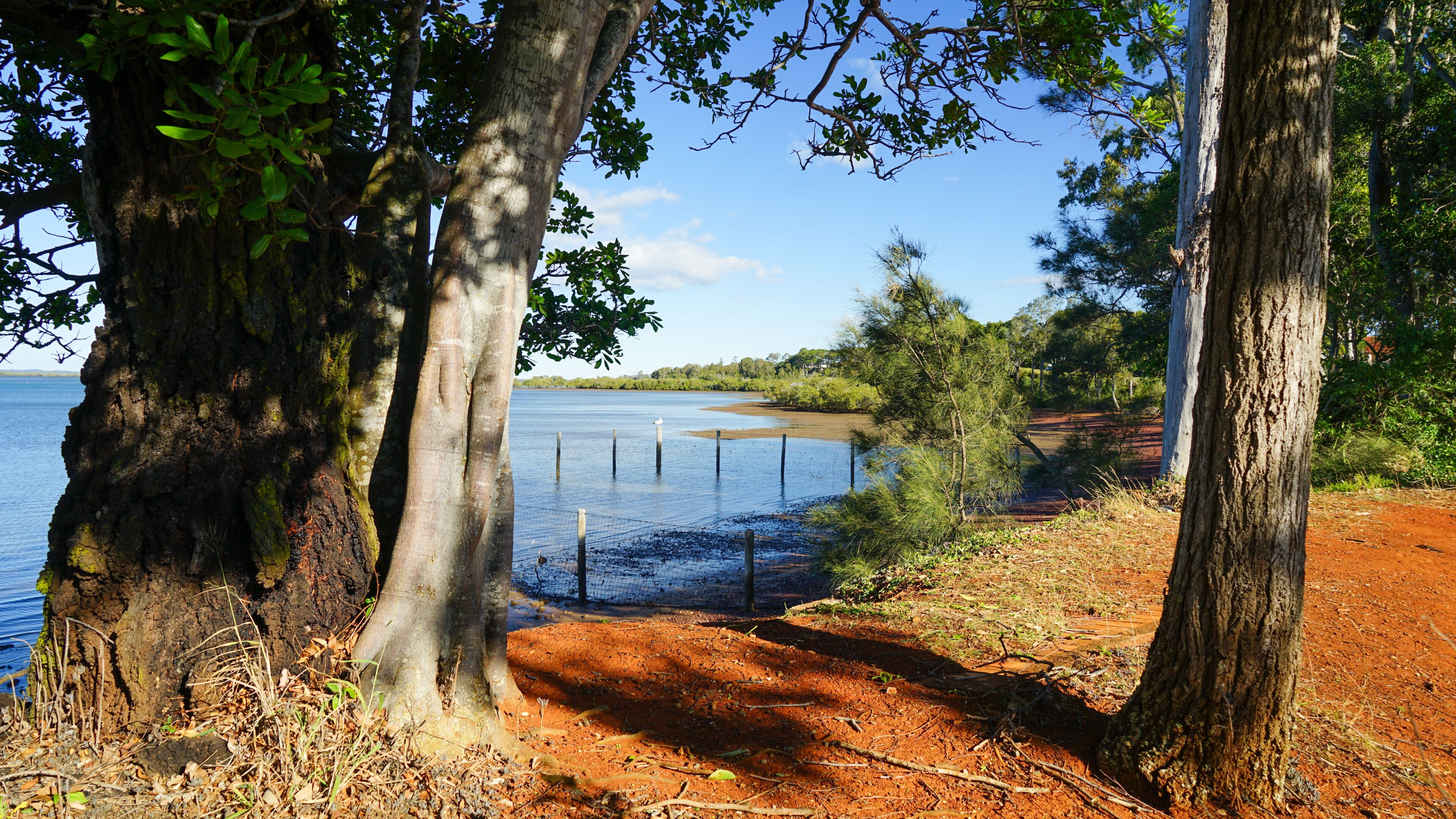 A coastal landscape with a dirt path leading to a water body, surrounded by trees and a fence.