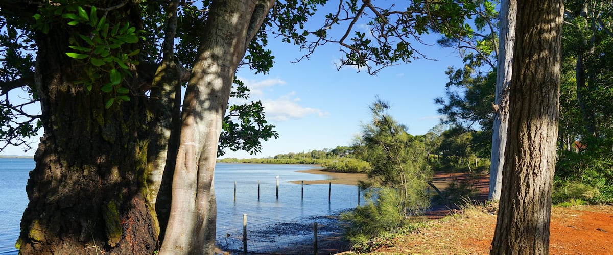 A coastal landscape with a dirt path leading to a water body, surrounded by trees and a fence.