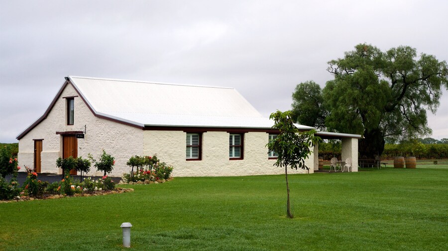 Katnook Estate og byder på blomster, en have og et hus