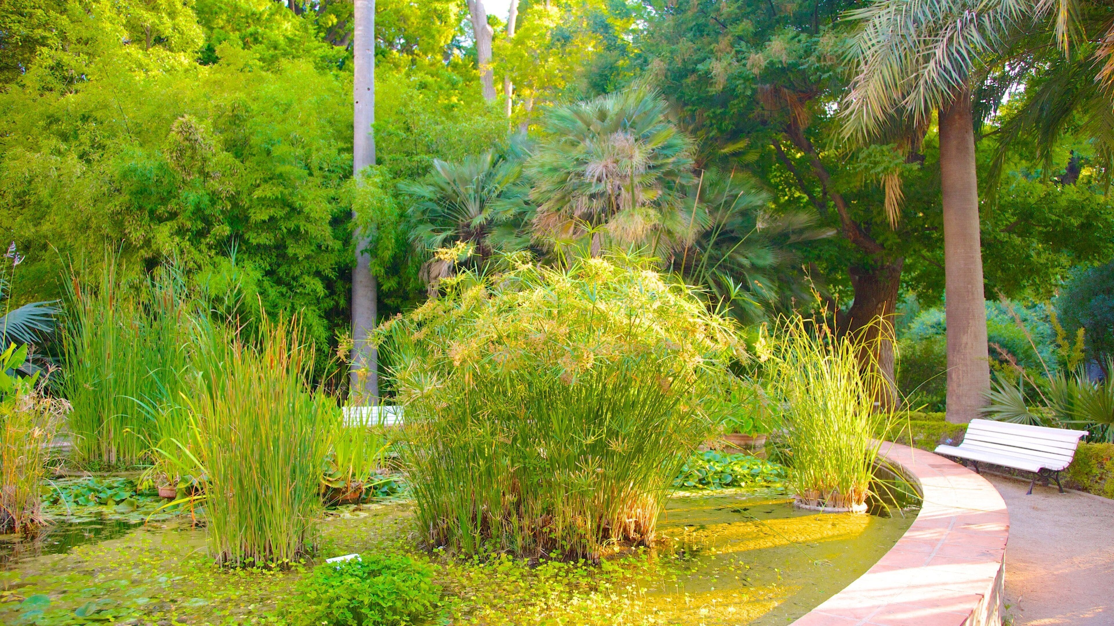 Valencia Botanical Gardens which includes a pond and a park