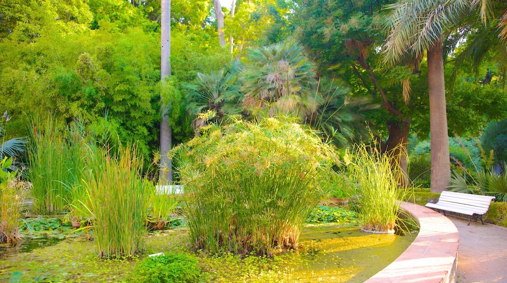 Jardin botanique de Valence mettant en vedette mare et parc