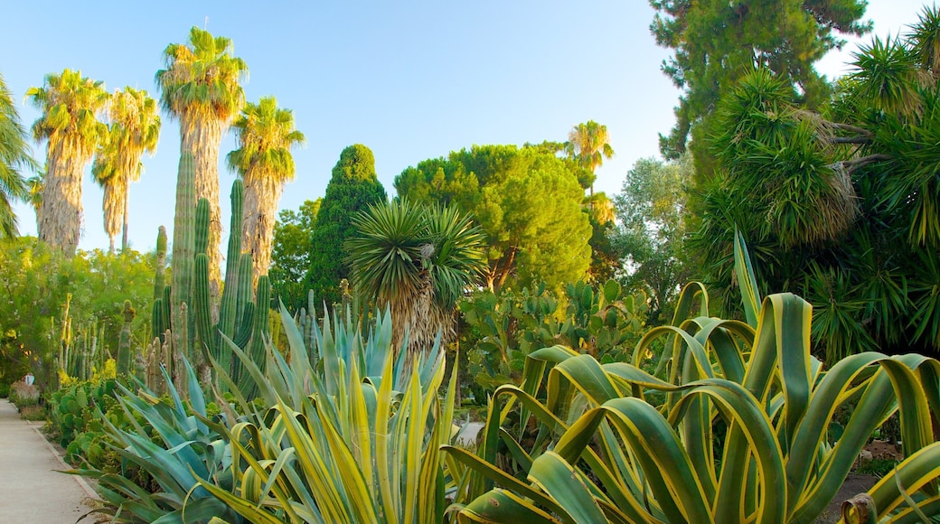 Jardin botanique de Valence mettant en vedette jardin