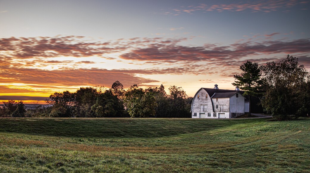 ワーナーズビル