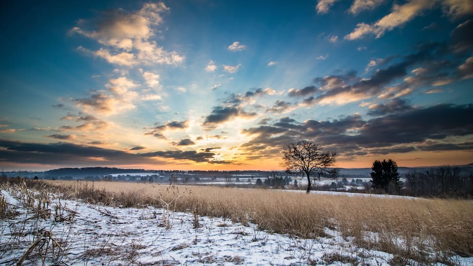 A snow-covered field with a solitary tree and a sunset in the background.