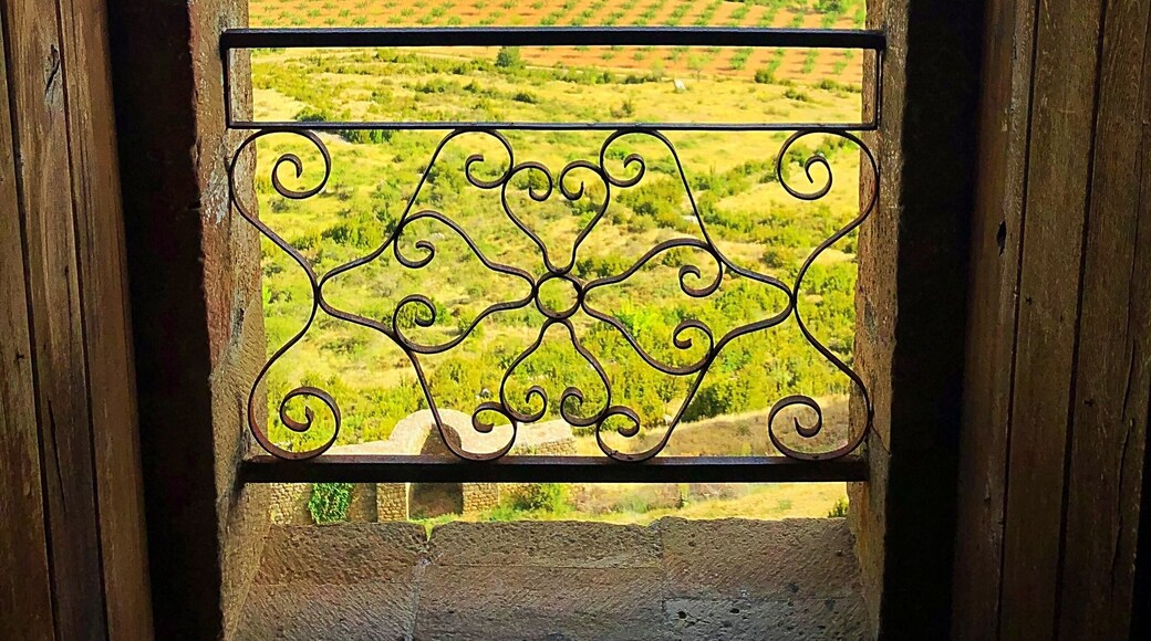 The 11th century castle is amazing