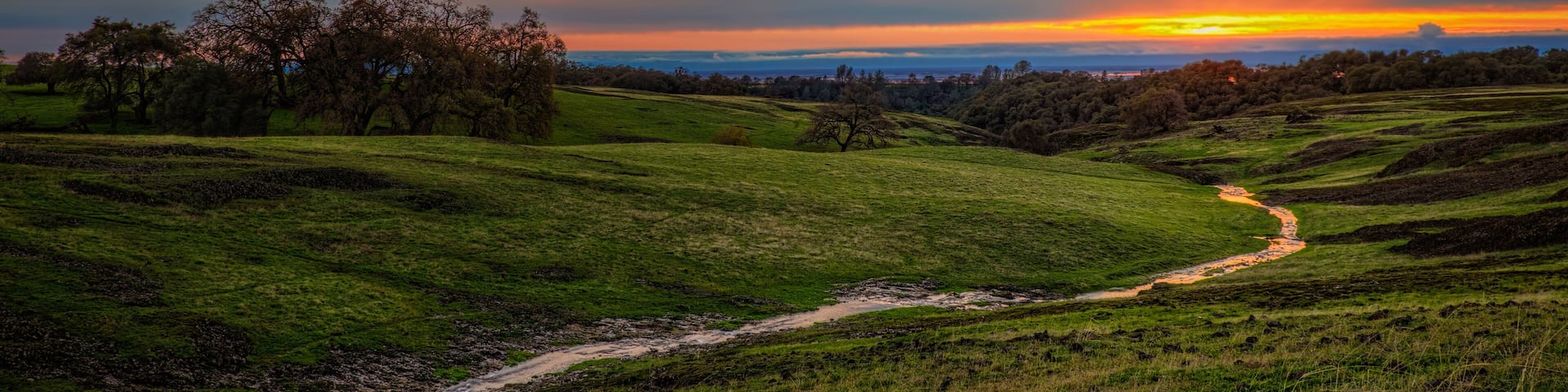 A sunset over a grassy landscape with a winding path and trees.