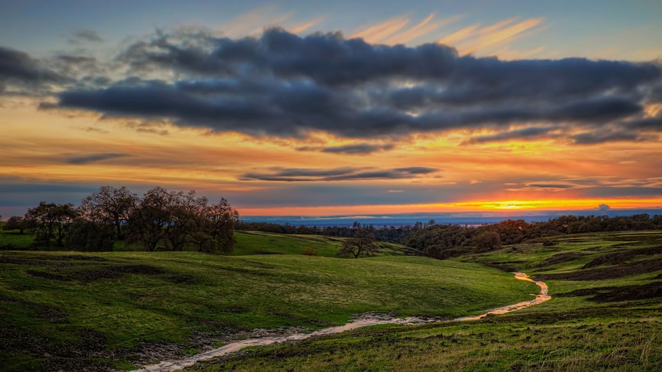 A sunset over a grassy landscape with a winding path and trees.