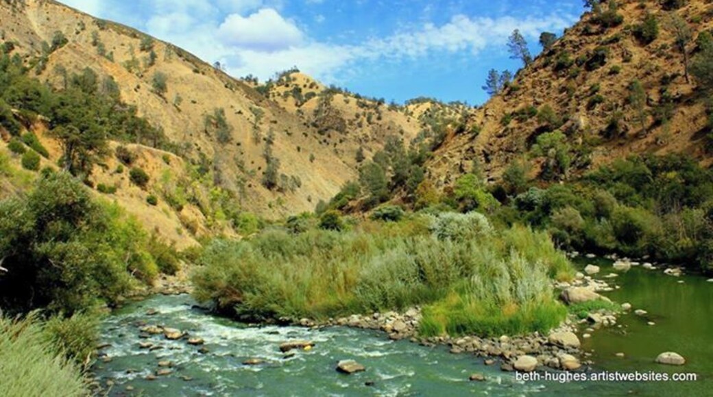 I have never seen a river's water so green...
Cache Creek (Sacramento river)