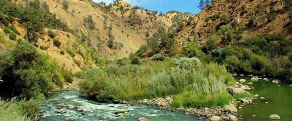 I have never seen a river's water so green...
Cache Creek (Sacramento river)