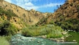 I have never seen a river's water so green...
Cache Creek (Sacramento river)