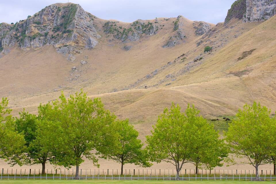 Paesaggio montuoso con alberi verdi in primo piano e scogliere rocciose sullo sfondo.