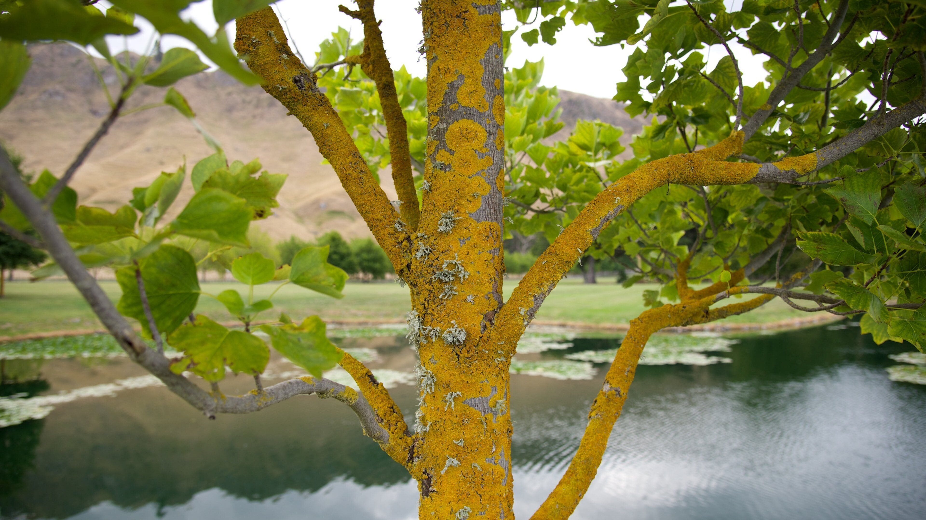 Craggy Range có tính năng hồ nước