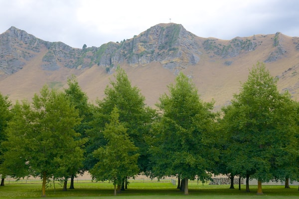 Craggy Range mit einem Park und Landschaften