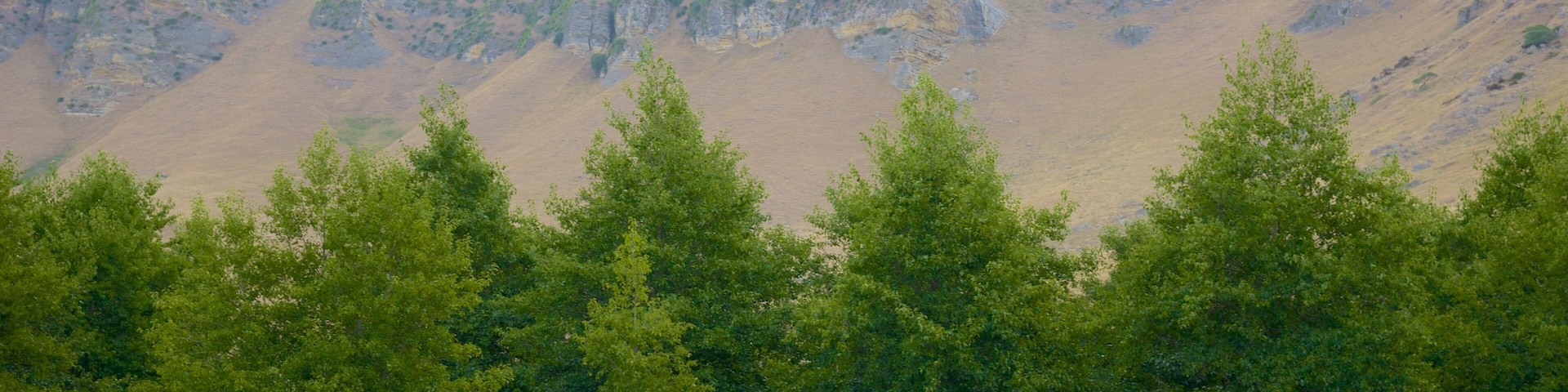 Craggy Range which includes landscape views and a garden