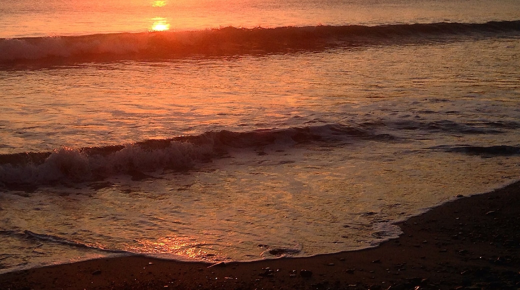 After this banger sunset, we were driving back to town with our sunroof open. We were in good spirits after a mellow surf day and beautiful views when we had a howler monkey almost join us in the car. He howled so loud right into our open roof that the color drained from our faces and we sped home so quickly. If you haven't heard these animals before just listen to Jurassic Park
#adventure
#overlanding #sunsets #surftowns #beaches #panamerican