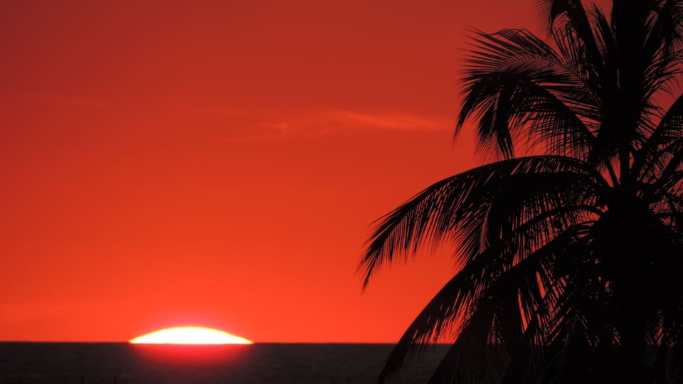 Celebrate another day
#adventure
#overlanding #roadtrip #sunset #surftowns